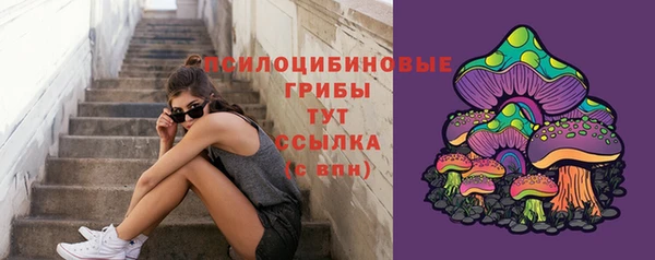 крисы Богородицк