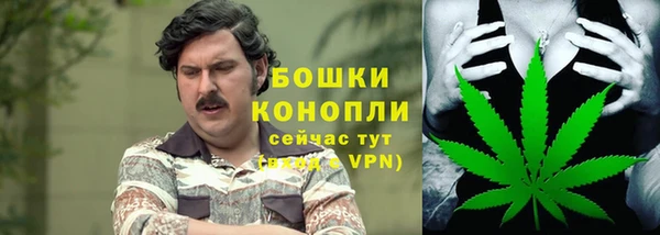 крисы Богородицк