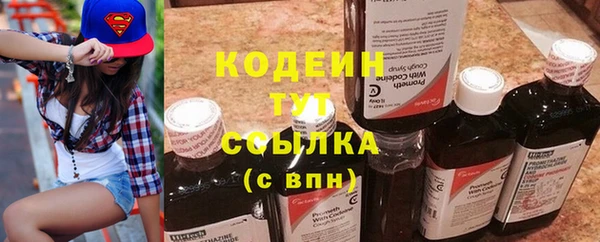 крисы Богородицк