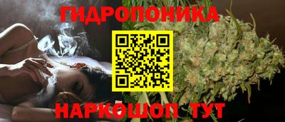 гидропоника Ирбит