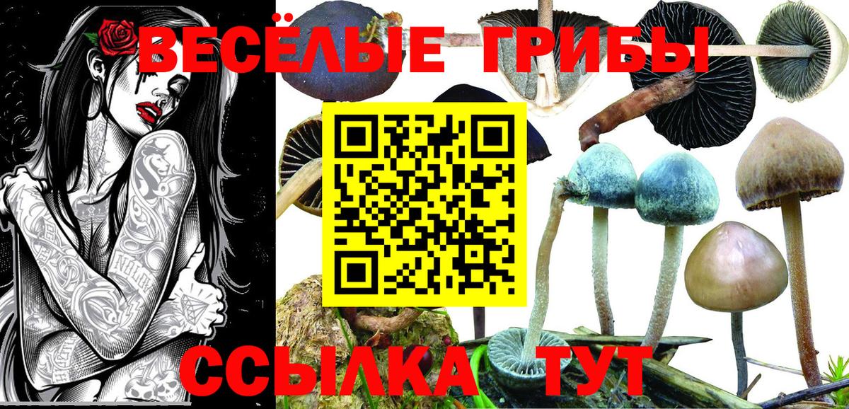 Галлюциногенные грибы мухоморы Майкоп