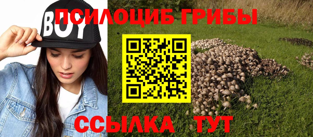 Майкоп  Псилоцибиновые грибы Magic Shrooms  Вход с VPN 